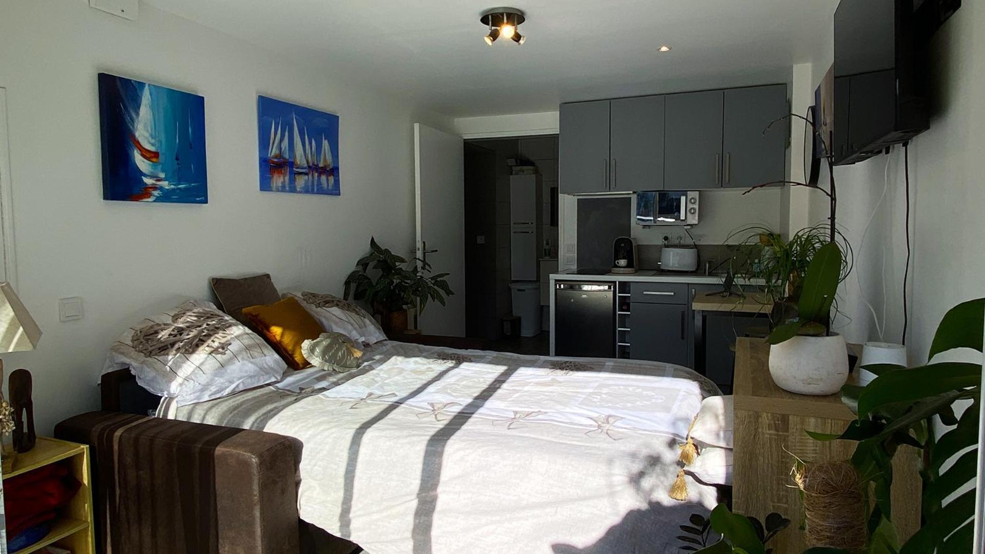 Studio Clair, Climatise Avec Jardin Et Parking 佩皮尼昂 外观 照片