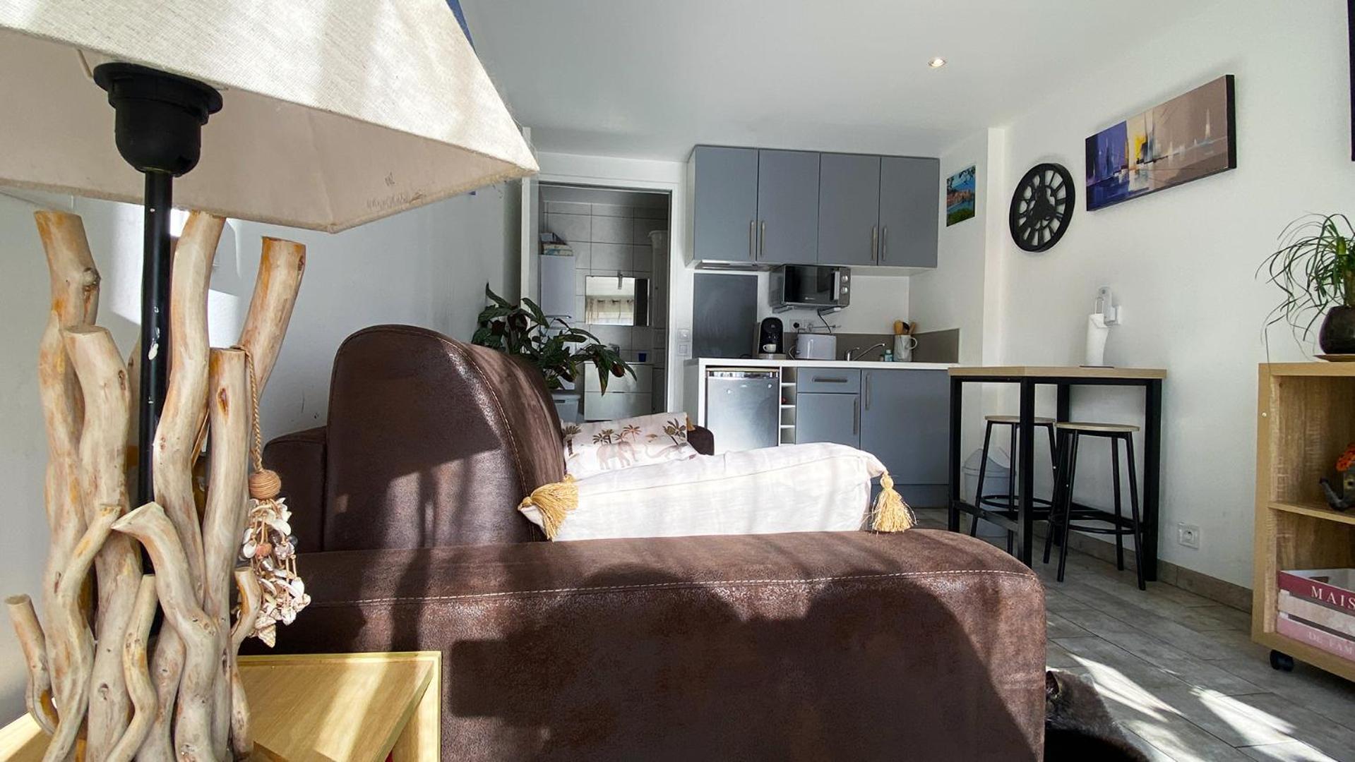 Studio Clair, Climatise Avec Jardin Et Parking 佩皮尼昂 外观 照片